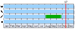 Phenogram based on the literature