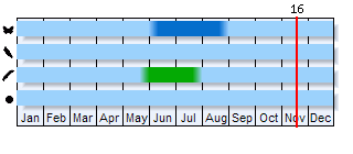 Phenogram based on the literature