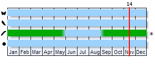 Phenogram based on the literature