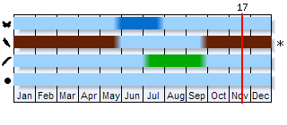 Phenogram based on the literature