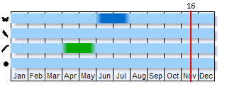 Phenogram based on the literature
