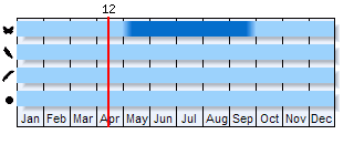 Phenogram based on literature