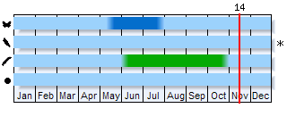 Phenogram based on the literature