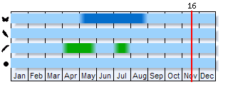 Phenogram based on the literature
