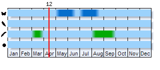 Phenogram based on literature