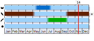 Phenogram based on the literature