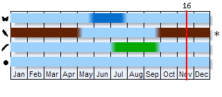 Phenogram based on the literature