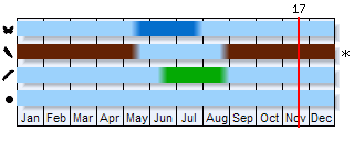 Phenogram based on the literature