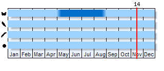 Phenogram based on the literature