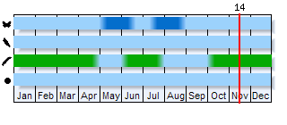 Phenogram based on the literature