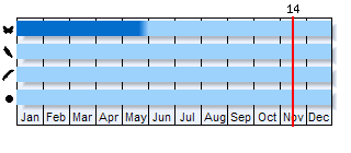 Phenogram based on the literature