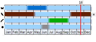 Phenogram based on the literature