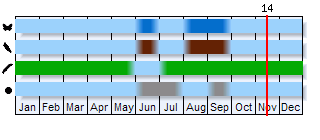 Phenogram based on the literature