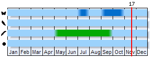 Phenogram based on the literature