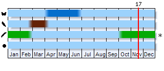 Phenogram based on the literature
