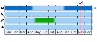Phenogram based on the literature