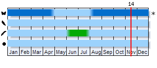 Phenogram based on the literature