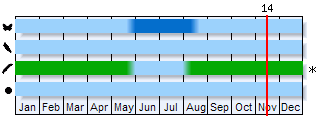 Phenogram based on the literature