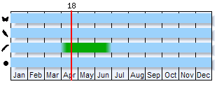 Phenogram based on literature