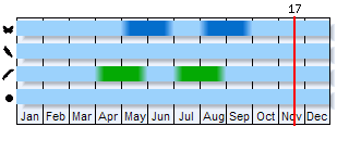 Phenogram based on the literature