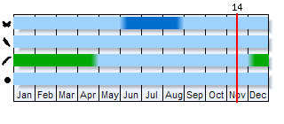 Phenogram based on the literature