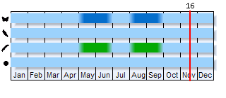 Phenogram based on the literature