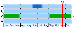 Phenogram based on the literature