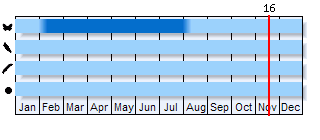 Phenogram based on the literature