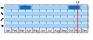 Phenogram based on the literature