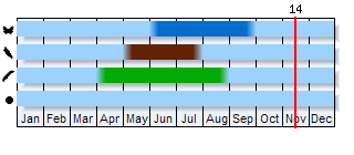 Phenogram based on the literature