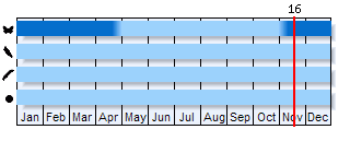 Phenogram based on the literature