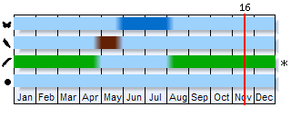 Phenogram based on the literature