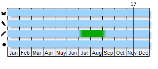 Phenogram based on the literature