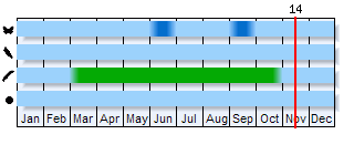 Phenogram based on the literature