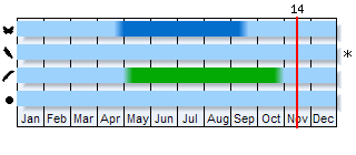 Phenogram based on the literature