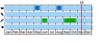Phenogram based on the literature