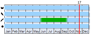 Phenogram based on the literature