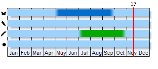 Phenogram based on the literature