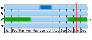 Phenogram based on the literature