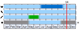 Phenogram based on the literature