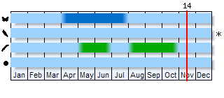 Phenogram based on the literature