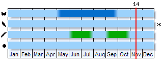 Phenogram based on the literature