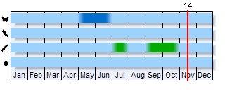 Phenogram based on the literature