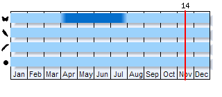 Phenogram based on the literature