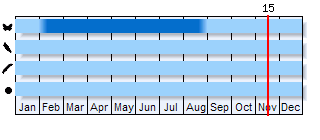 Phenogram based on the literature