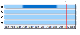 Phenogram based on the literature