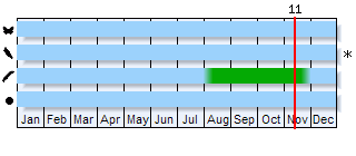 Phenogram based on the literature