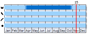 Phenogram based on the literature