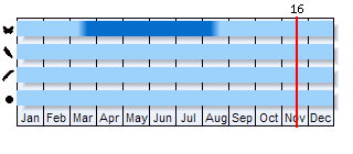Phenogram based on the literature