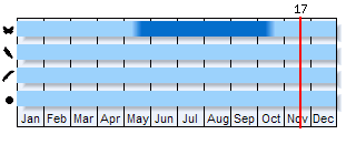 Phenogram based on the literature